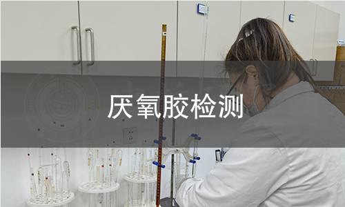 厭氧膠檢測